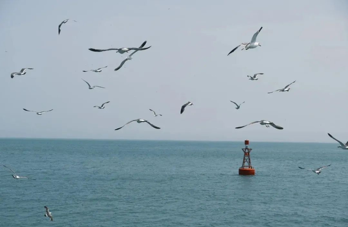 海燕论坛：迎风飞扬：海燕论坛的新航程